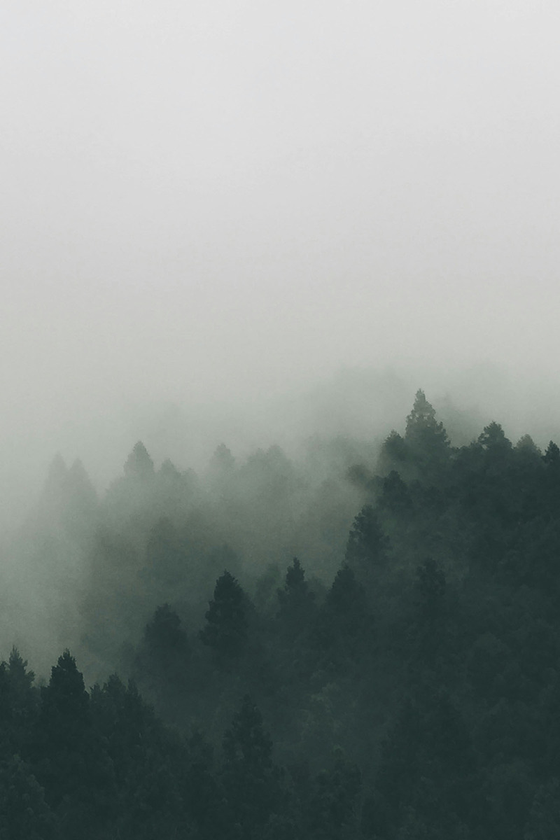 Mist