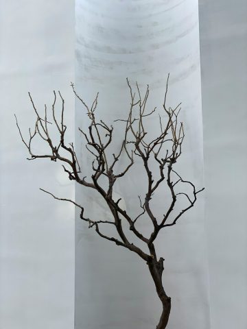 Reaching